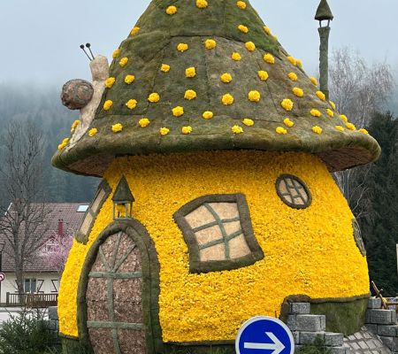 Fête des jonquilles