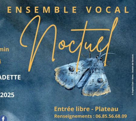 Concert vocal de l'ensemble Noctuel